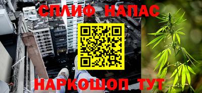спайс Шелехов