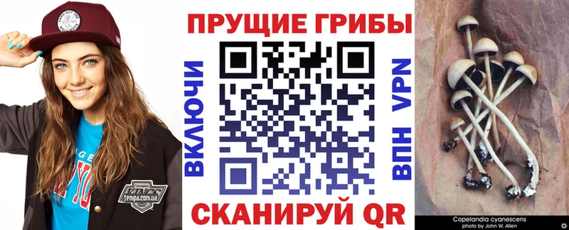 ссылка на мегу зеркало  Краснотурьинск  Галлюциногенные грибы Magic Shrooms 